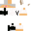 Texture for V1D
