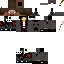Texture for steve