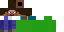 Texture for stevealpha