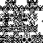 Texture for 