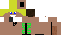 Texture for bart287