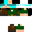 Texture for robin hood gamer