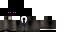 Texture for max