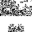 Texture for ??