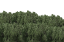 Texture for cust1