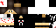 Texture for ds