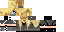 Texture for Assassin