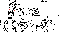 Texture for dark ghost