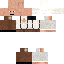 Texture for Steve