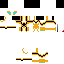 Texture for t0dynh0 aranha