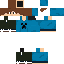 Texture for skin com casaco