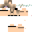Texture for van mnhgv 