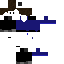 Texture for ewg
