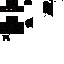 Texture for Bat
