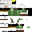 Texture for Sage