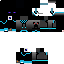 Texture for mcs 2005