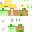 Texture for スキン