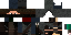 Texture for Ninja