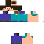 Texture for steve d'été