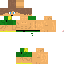 Texture for LInk