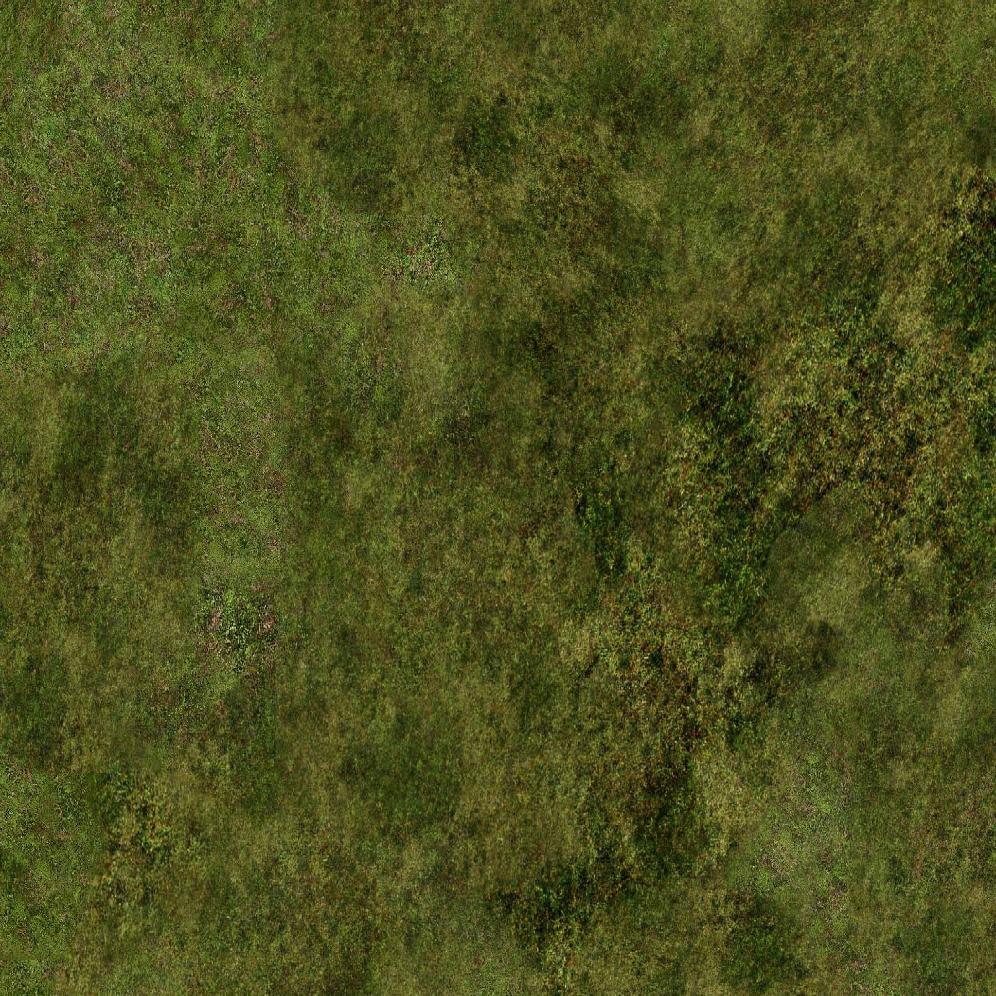 Texture for Grass Block