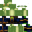 Texture for FrogWizard