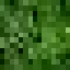 Texture for real-grass