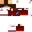 Texture for LoganhaBr