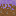 Texture for mycelium_side