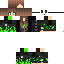 Texture for ImXprnZ_v4