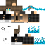 Texture for petta