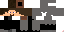 Texture for The Knight 