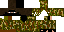 Texture for wwer