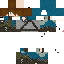 Texture for Medieval2