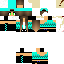 Texture for Steve