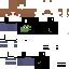 Texture for SapoTiago