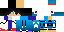 Texture for max