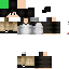Texture for CetonyK