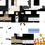 Texture for WizeX