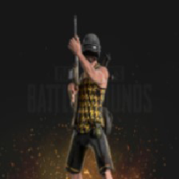 Texture for pubg