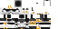 Texture for CODY