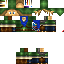Texture for Lonk