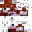 Texture for <