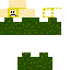 Texture for Axu Play flowey the flower