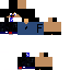 Texture for ferflogamer