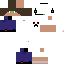 Texture for Flappy