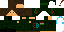 Texture for ErikBag