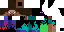 Texture for stederman