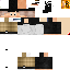 Texture for SrLukeBr