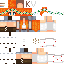 Texture for steve